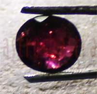 No Image Found